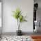Flora Bunda® 3ft. Palm in Black Ceramic Planter